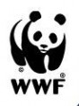 WWF